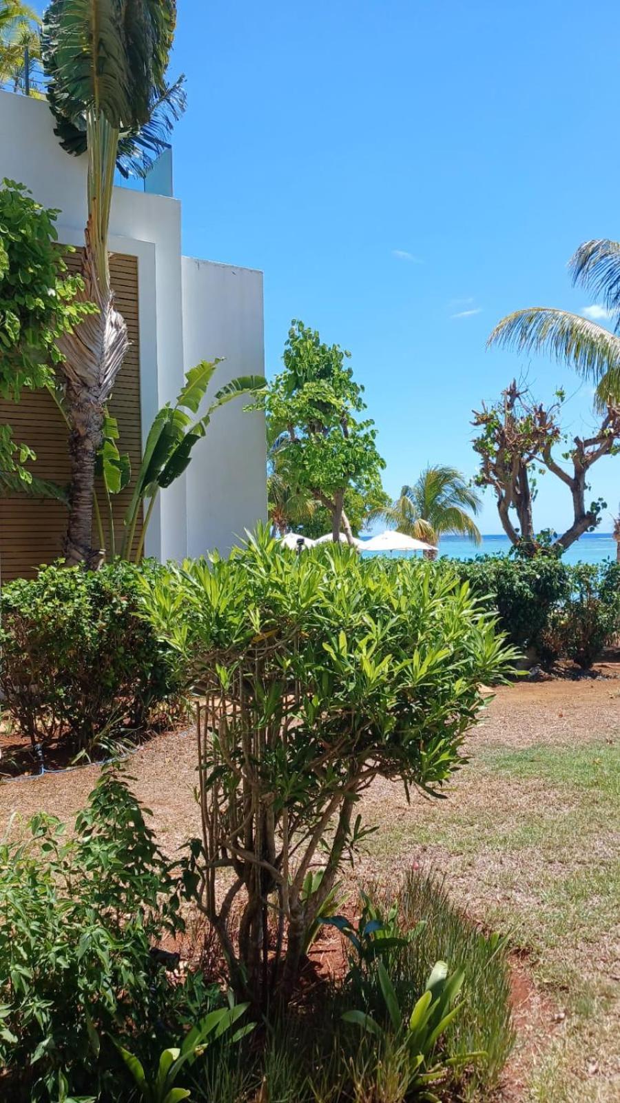 Cap Ouest Luxury Beachfront Flic-en-Flacq Exterior foto